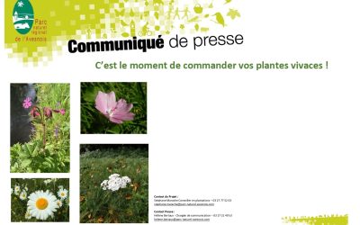 Commande de plantes vivaces